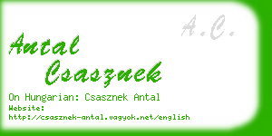 antal csasznek business card
